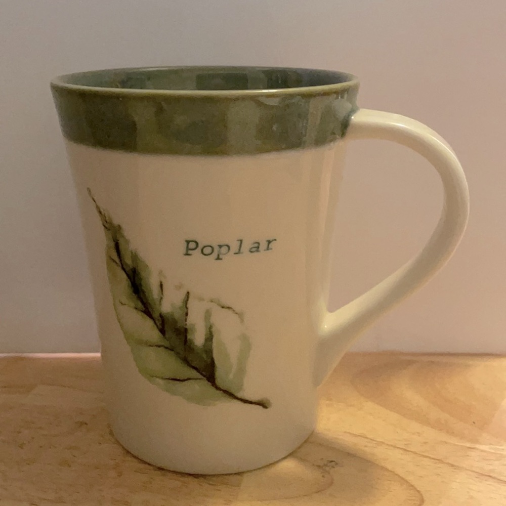 Starbucks 2007 glazed rim and interior leaf design mug 13oz